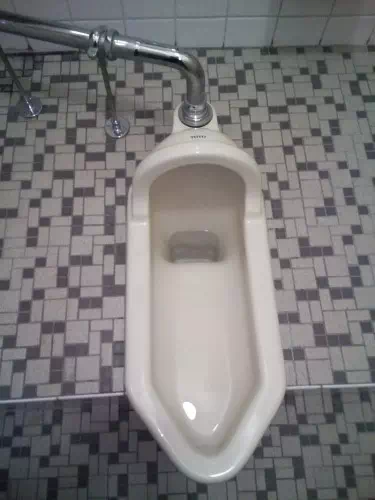 両用の和式トイレ。